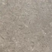 Rugiano outdoor rug, Grigio Italia finish, sedimentary stone texture with fossilized marine life and mottled gray coloration.